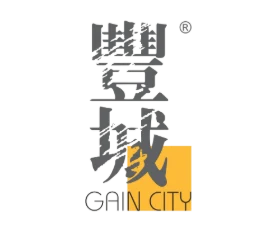 Gain City